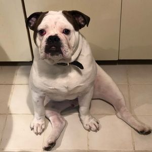 Meet your Posher, Derek